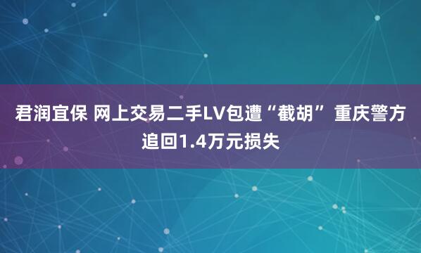 君润宜保 网上交易二手LV包遭“截胡” 重庆警方追回1.4万元损失